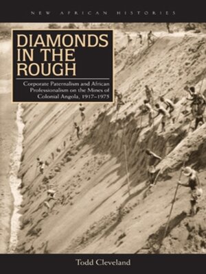 cover image of Diamonds in the Rough